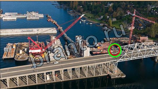 ответы Где же кот? в одноклассниках Уровень 5546