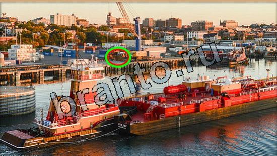 ответы для игры Где же кот Уровень 5547