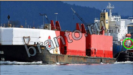 решения для игры Где же кот Уровень 5548