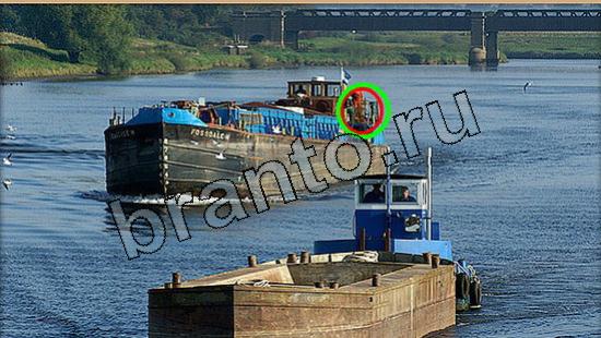 Где же кот игра ответы Уровень 5549