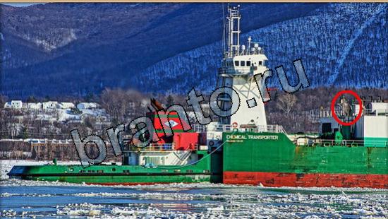 игра в одноклассниках Где же кот ответы Уровень 5550