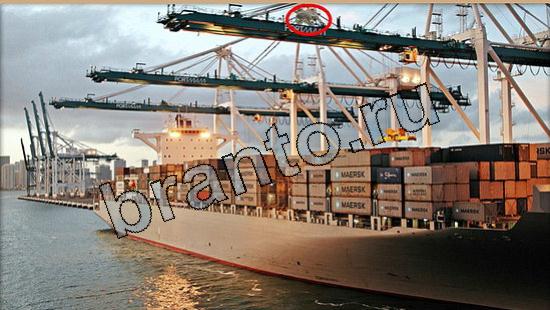 Где же кот помощь в картинках Уровень 5551