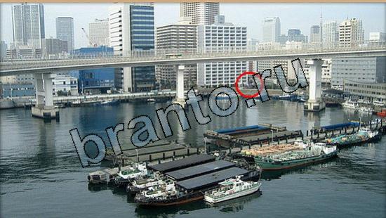 ответы на игру Где же кот в скриншотах Уровень 5552