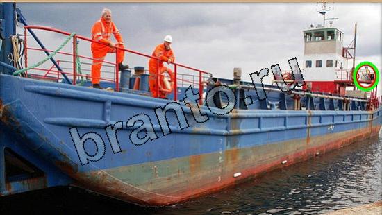 решения на игру Где же кот Уровень 5555