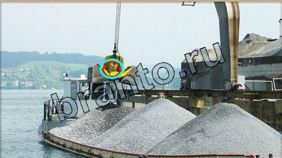 ответы на игру Где же кот Уровень 5556