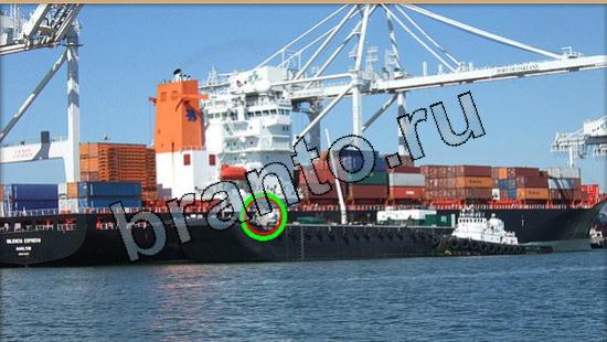 ответы в картинках на игру Где же кот Уровень 5557