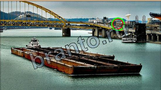 помощь на игру Где же кот Уровень 5558