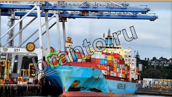 Где же кот ответы в одноклассниках Уровень 5559