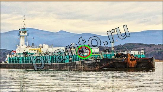 Где же кот игра ответы Уровень 5560