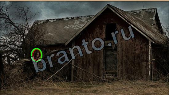 Решения на игру Где же кот Уровень 5563