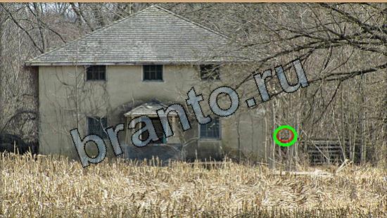 ответы к игре Где же кот Уровень 5565