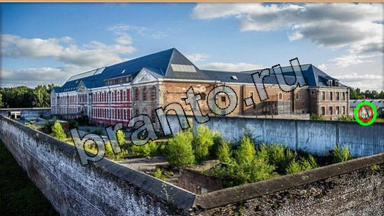 Где же кот? помощь Уровень 5570