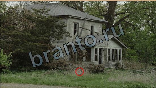 Где же кот игра подсказки Уровень 5574