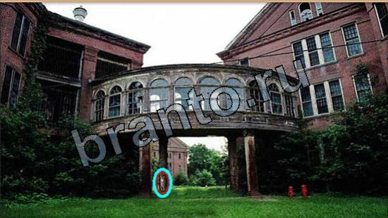 Игра Где же кот ответы Уровень 5577