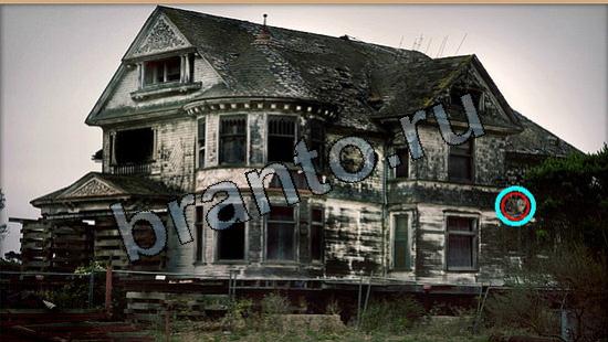 Игра Где же кот подсказки Уровень 5578