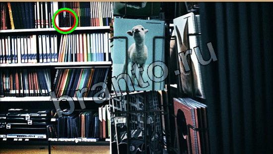 ответы Где же кот? в одноклассниках Уровень 5586