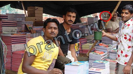 Где же кот игра ответы Уровень 5589