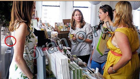 решения на игру Где же кот Уровень 5595