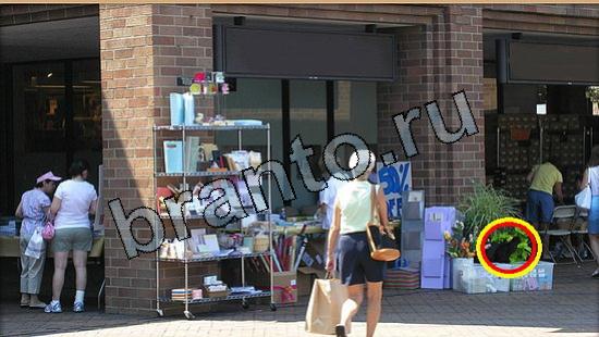 ответы в картинках на игру Где же кот Уровень 5597