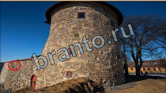 ответы на игру Где же кот Уровень 5676