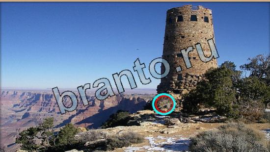 Где же кот игра ответы Уровень 5680