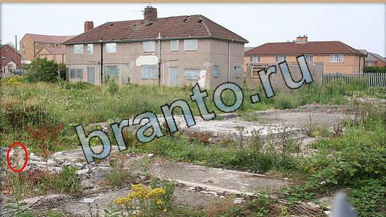 Решения на игру Где же кот Уровень 5683