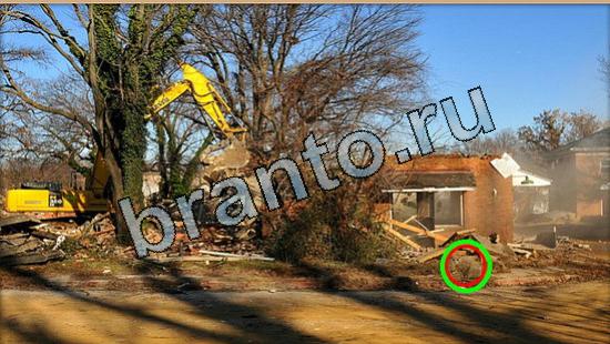 Где же кот игра ответы в одноклассниках Уровень 5687