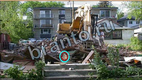 Где же кот? ответы Уровень 5688