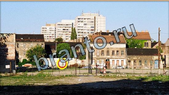 игра Где же кот помощь Уровень 5699