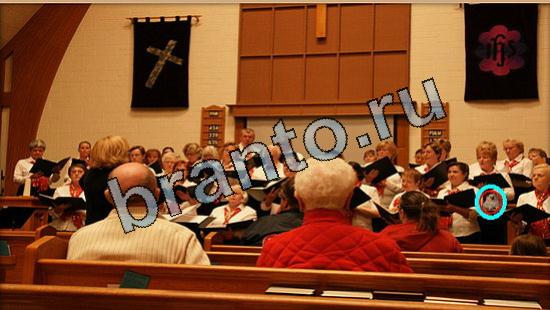 прохождение на игру Где же кот Уровень 5701