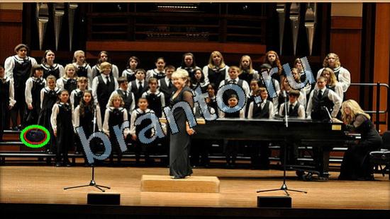 відповіді на игру Где же кот в одноклассниках Уровень 5703