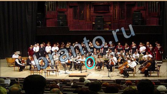 ответы Где же кот? в одноклассниках Уровень 5706