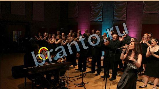 решения для игры Где же кот Уровень 5708