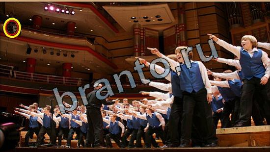 игра в одноклассниках Где же кот ответы Уровень 5710