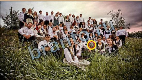 Где же кот помощь в картинках Уровень 5711