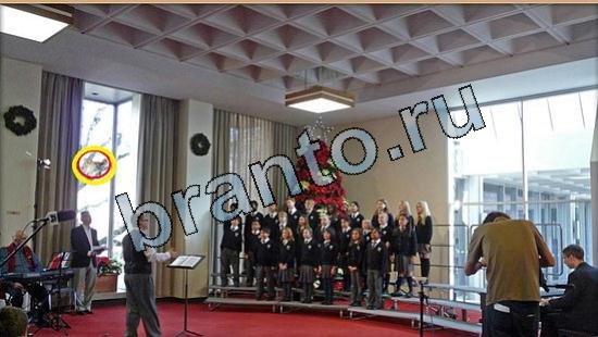 ответы на игру Где же кот в скриншотах Уровень 5712