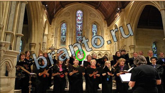 ответы на игру Где же кот Уровень 5714