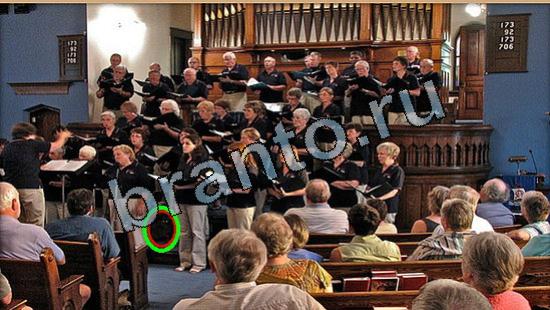 решения на игру Где же кот Уровень 5715