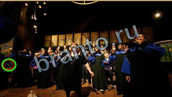 помощь на игру Где же кот Уровень 5718