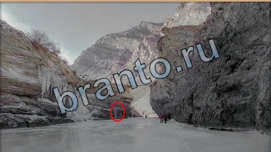 Решения на игру Где же кот Уровень 5723