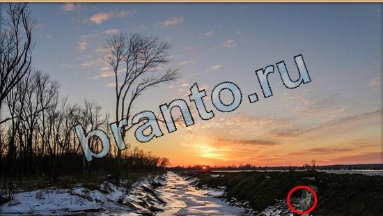 Помощь на игру Где же кот Уровень 5724