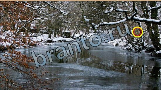 ответы к игре Где же кот Уровень 5725