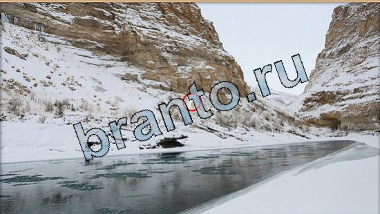 ответы на игру в одноклассниках Где же кот Уровень 5726