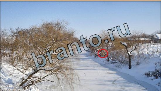 Где же кот игра ответы в одноклассниках Уровень 5727