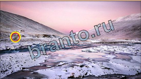 Где же кот? решения Уровень 5732