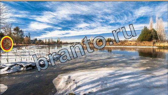 Где же кот игра ответы Уровень 5733