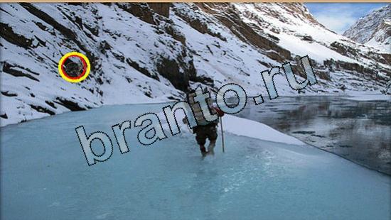 Где же кот игра подсказки Уровень 5734