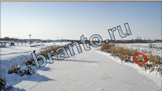 Где же кот игра помощь Уровень 5735