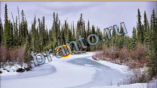 Где же кот ответы в картинках Уровень 5736