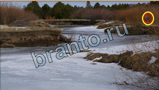 Игра Где же кот ответы Уровень 5737